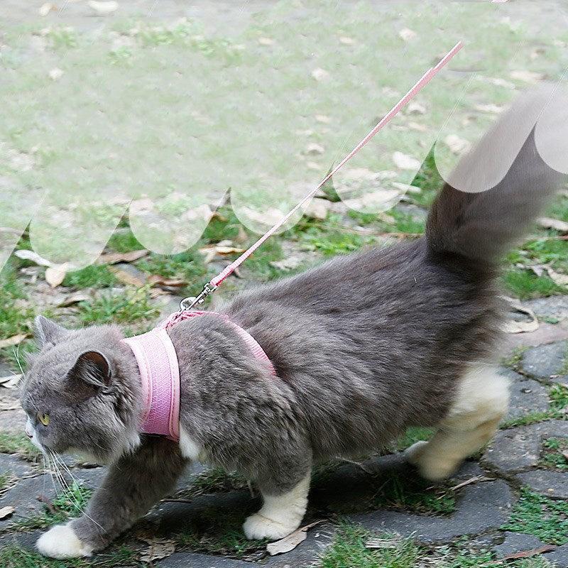 Ultimate Grip Cat Harness - Pets Perfect