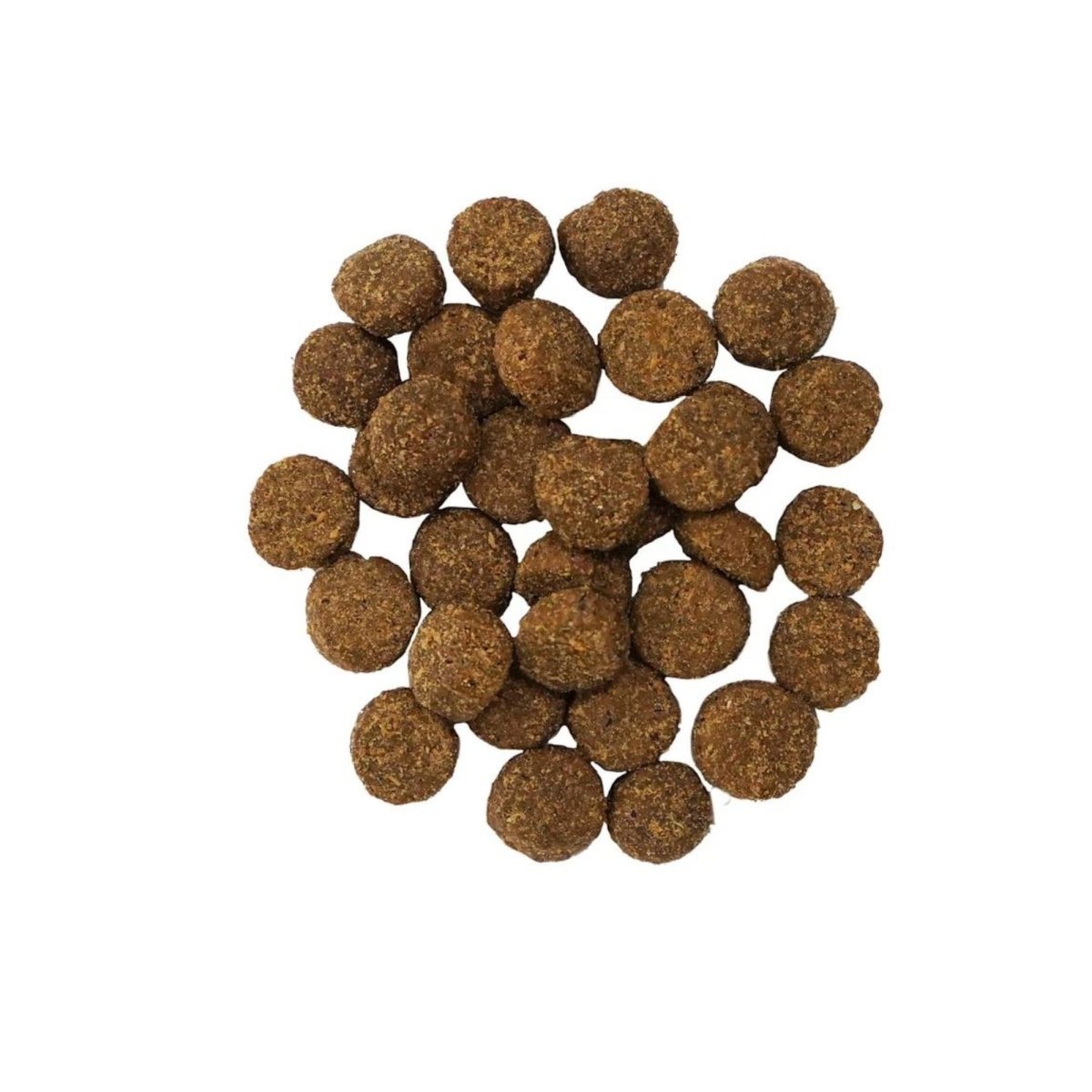 Go! Dog Digestion & Gut Health Salmon Ancient Grain 3.5Lb - Pets Perfect