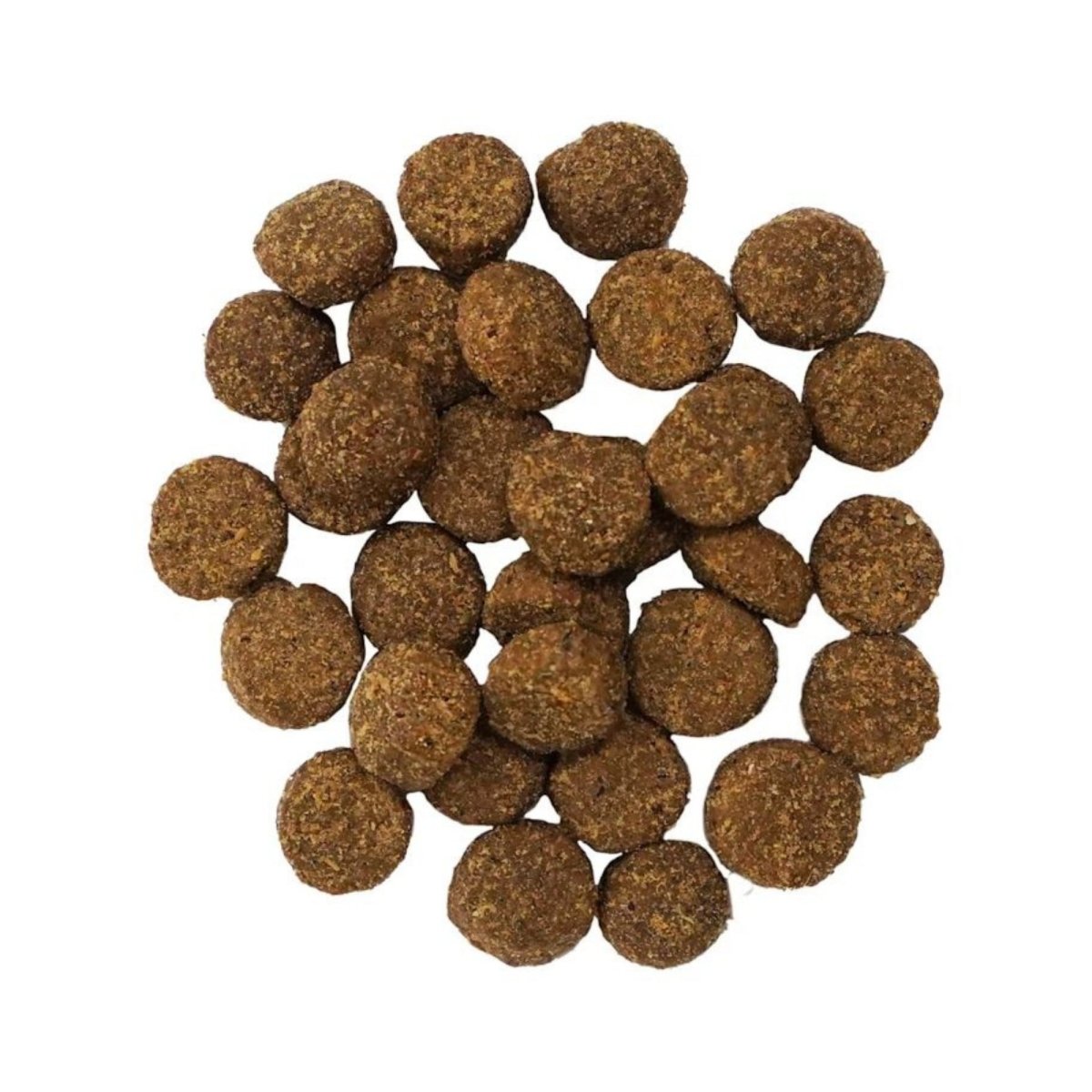 Go! Dog Digestion & Gut Health Salmon Ancient Grain 12Lb - Pets Perfect
