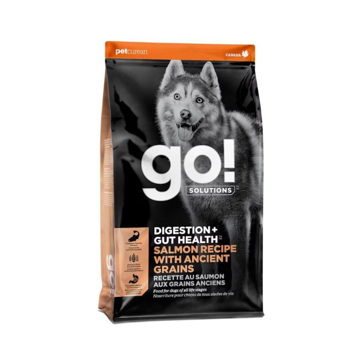Go! Dog Digestion & Gut Health Salmon Ancient Grain 22Lb - Pets Perfect