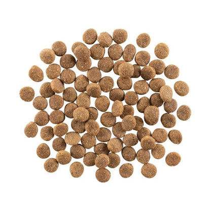 Go! Dog Weight Management + Joint Care Grain Free Chicken 12Lb - Pets Perfect