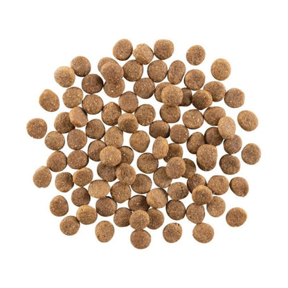 Go! Dog Weight Management & Joint Care Grain Free Chicken 22Lb - Pets Perfect