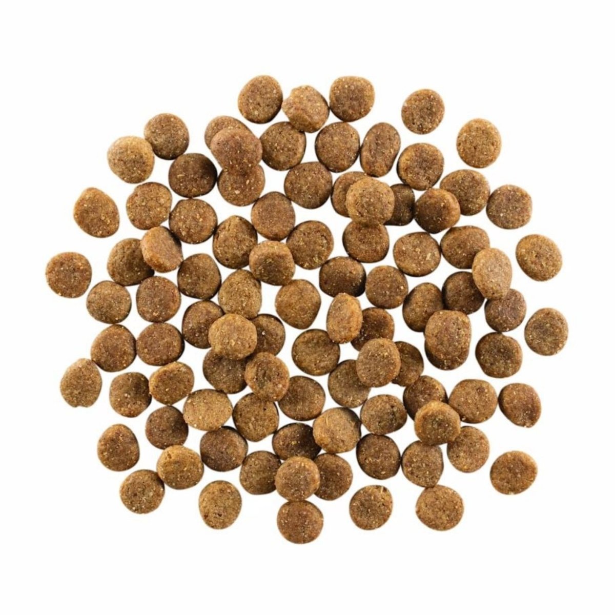 Go! Dog Skin & Coat Care Chicken With Grain 3.5Lb - Pets Perfect