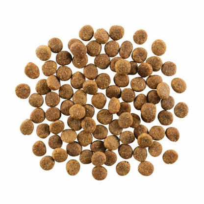 Go! Dog Skin & Coat Care Chicken With Grain 3.5Lb - Pets Perfect