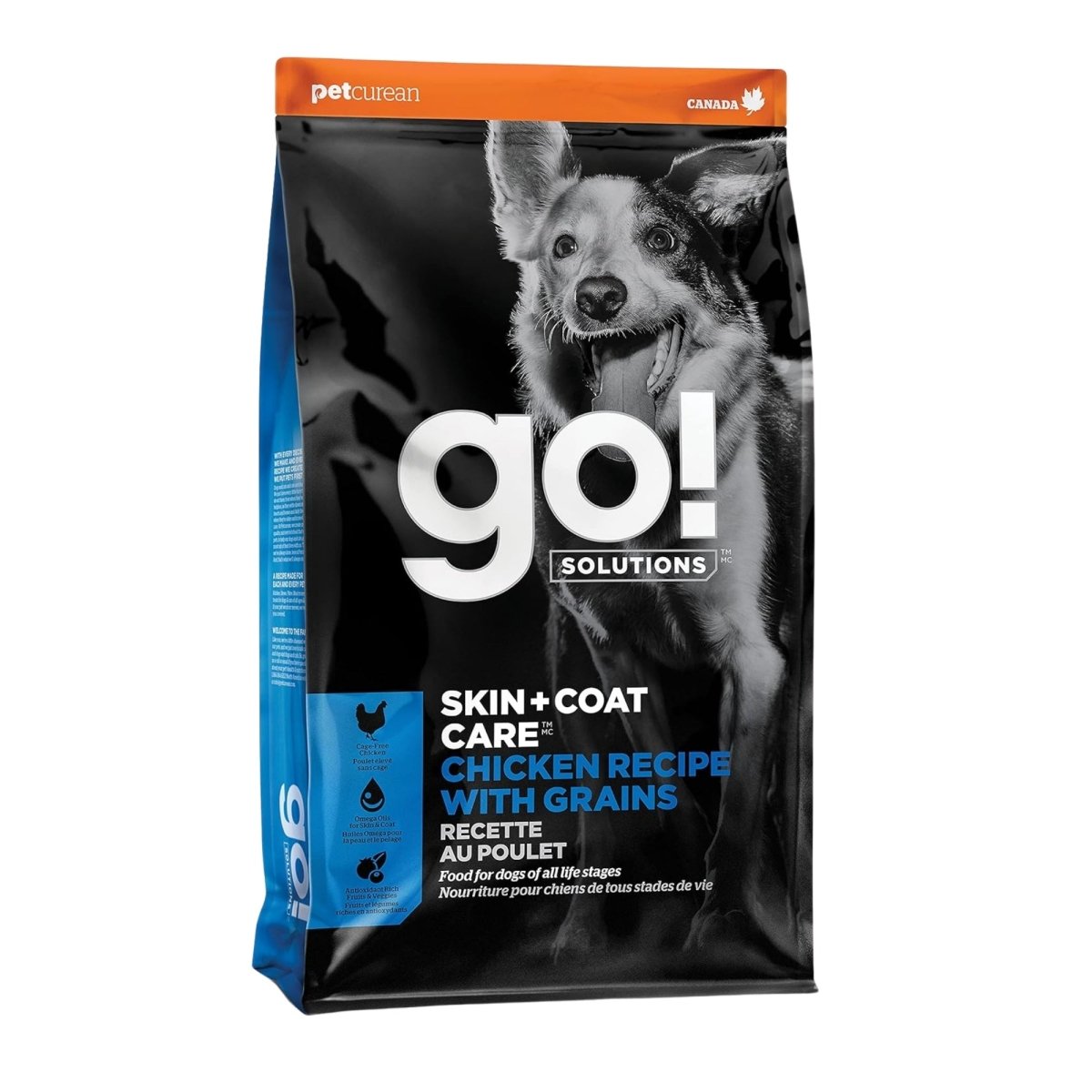 Go! Dog Skin & Coat Care Chicken With Grain 3.5Lb - Pets Perfect