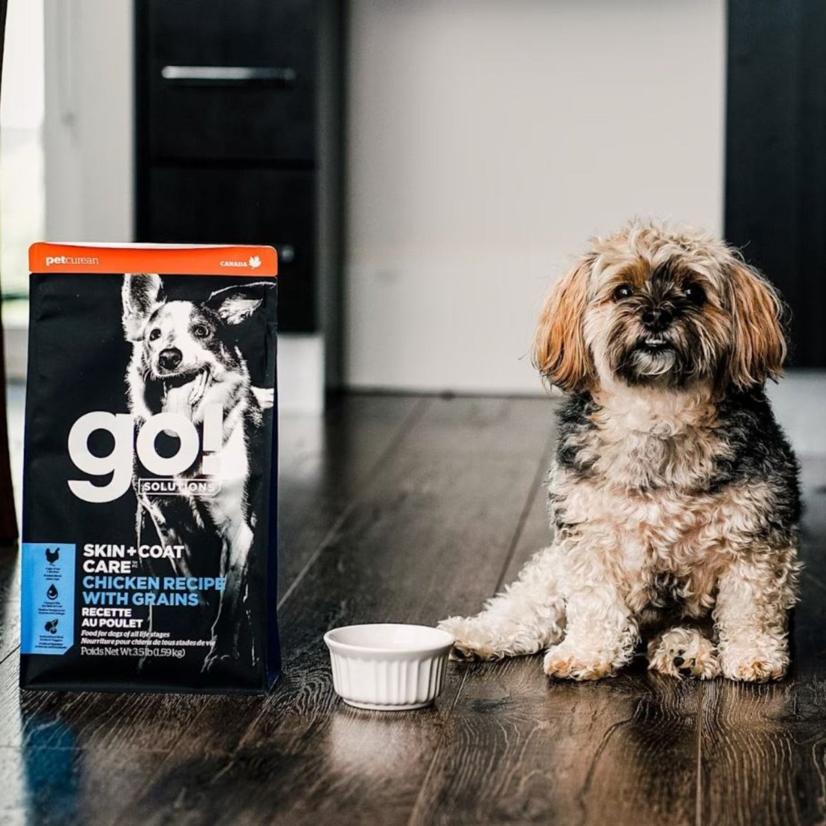 Go! Dog Skin & Coat Care Chicken With Grain 12Lb - Pets Perfect