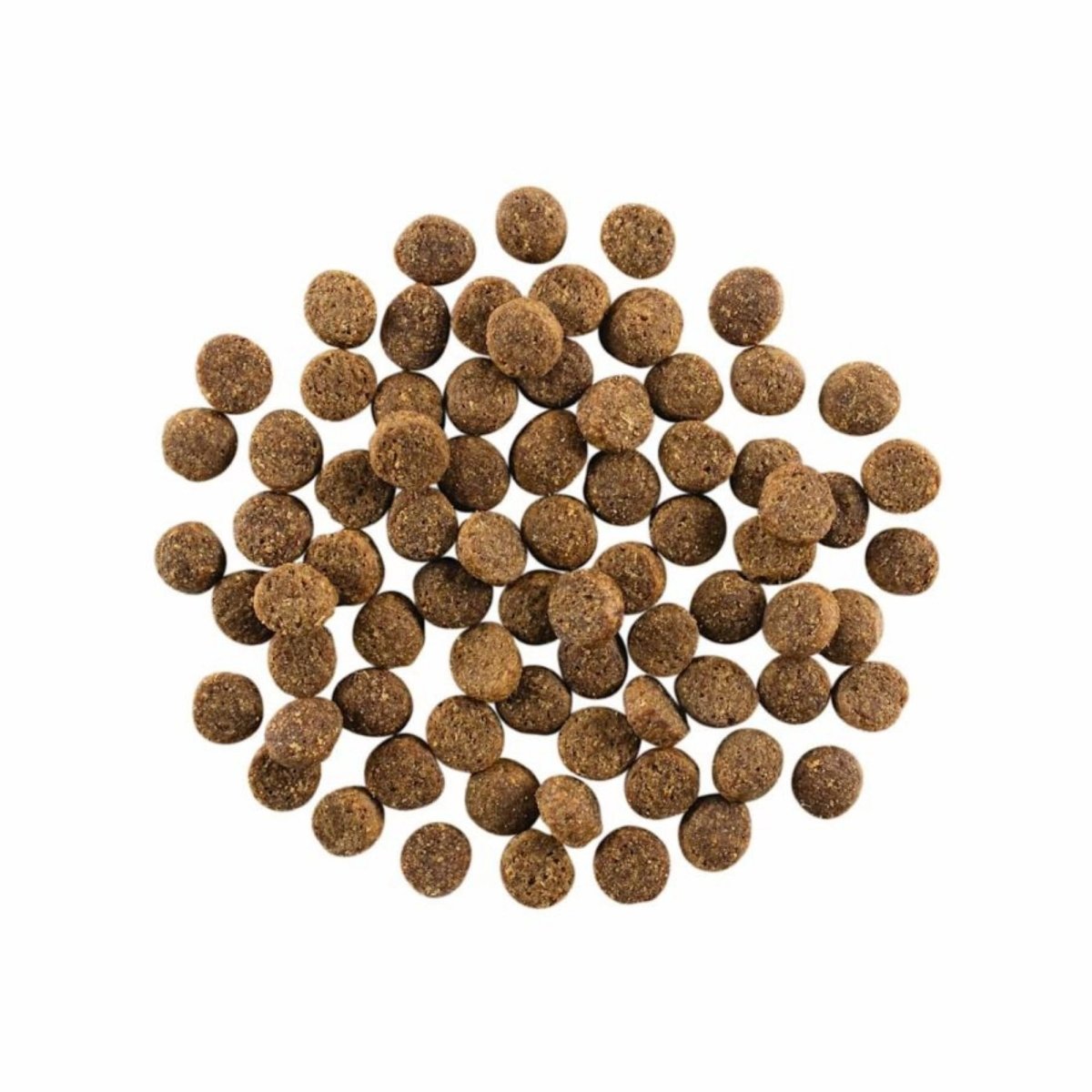 Go! Dog Skin & Coat Care Salmon With Grain 3.5Lb - Pets Perfect