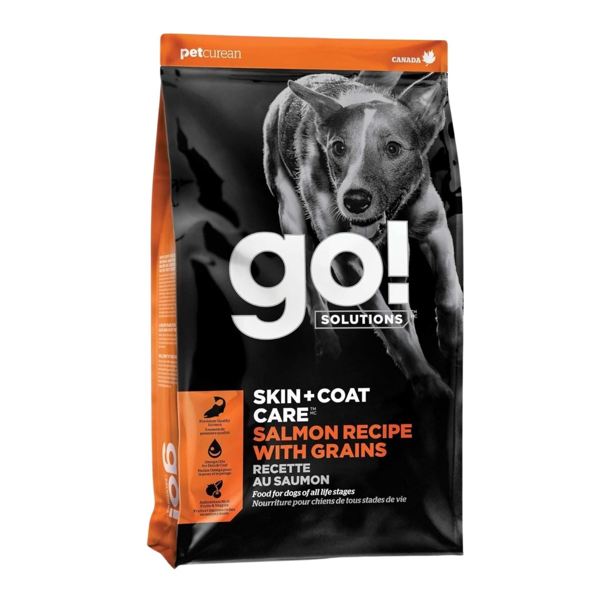 Go! Dog Skin & Coat Care Salmon With Grain 3.5Lb - Pets Perfect