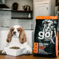 Go! Dog Skin & Coat Care Salmon With Grain 12Lb - Pets Perfect