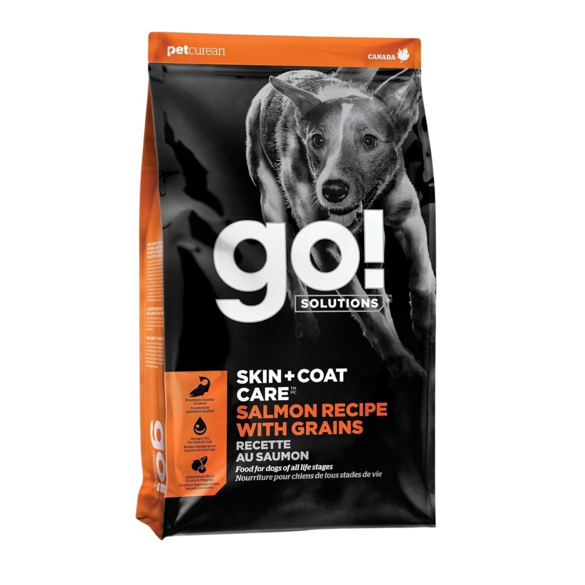 Go! Dog Skin & Coat Care Salmon With Grain 12Lb - Pets Perfect