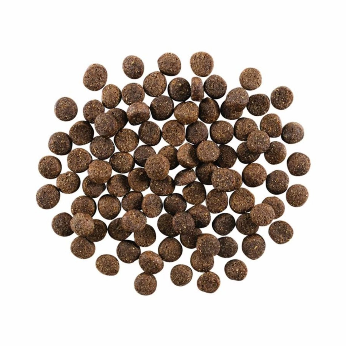 Go! Dog Skin & Coat Care Lamb With Grain 3.5Lb - Pets Perfect