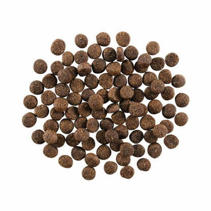 Go! Dog Skin & Coat Care Lamb With Grain 3.5Lb - Pets Perfect