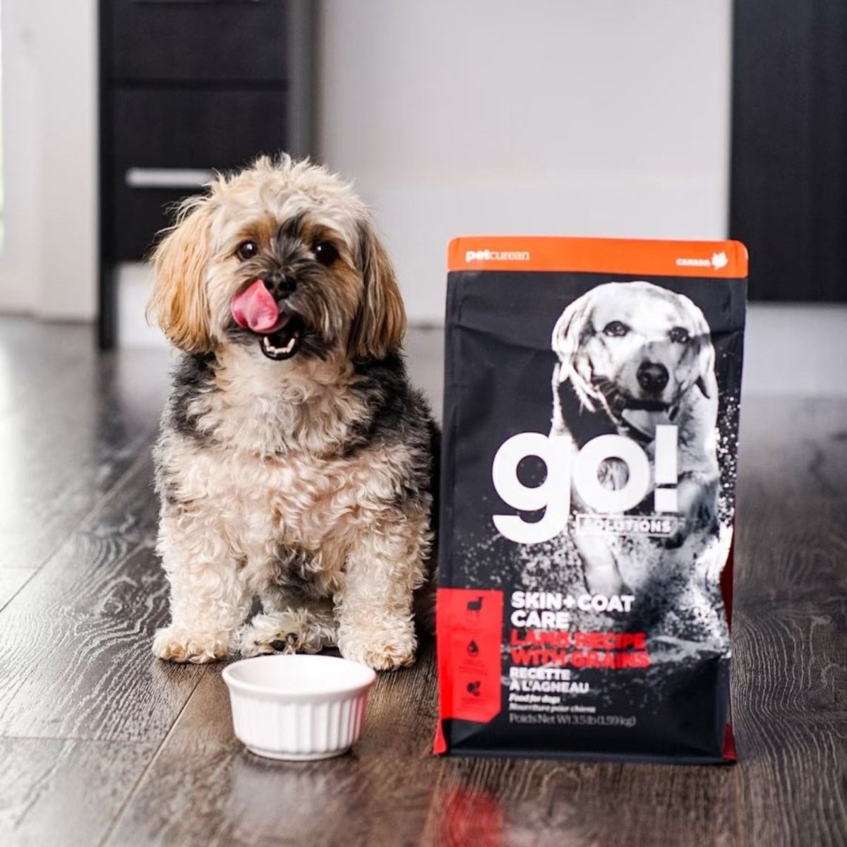 Go! Dog Skin & Coat Care Lamb With Grain 3.5Lb - Pets Perfect