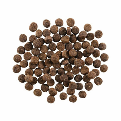 Go! Dog Skin & Coat Care Lamb With Grain 12Lb - Pets Perfect
