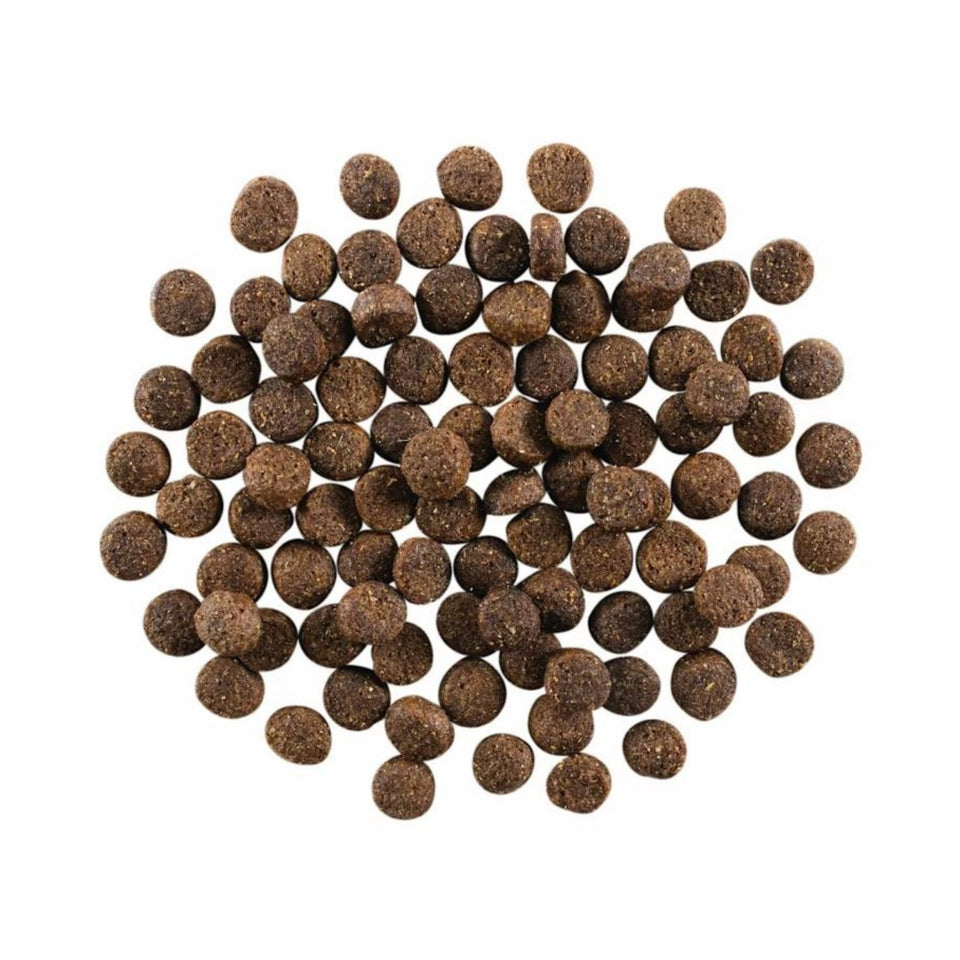 Go! Dog Skin & Coat Care Lamb With Grain 12Lb