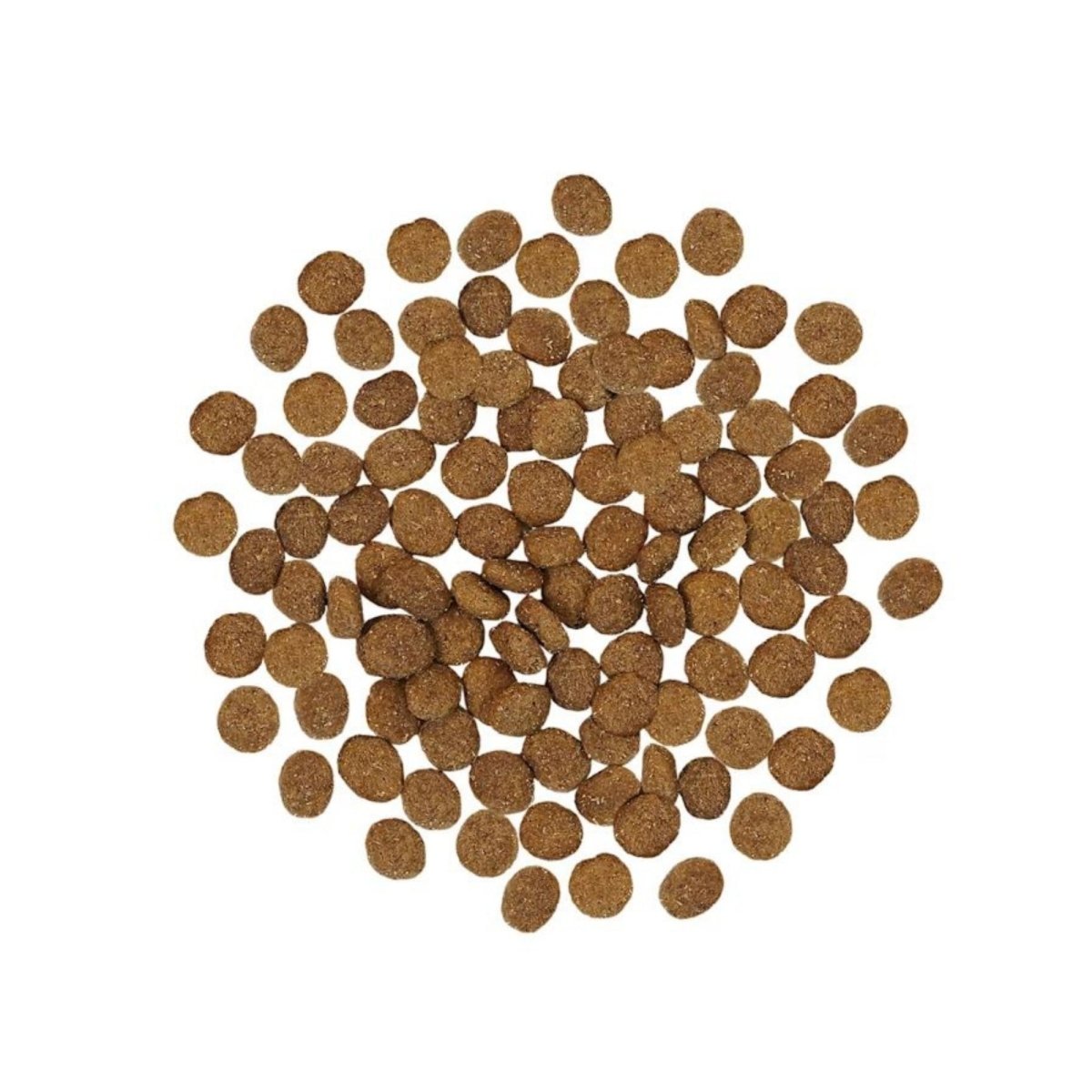 Go! Dog Skin & Coat Care Turkey With Grain 3.5Lb - Pets Perfect