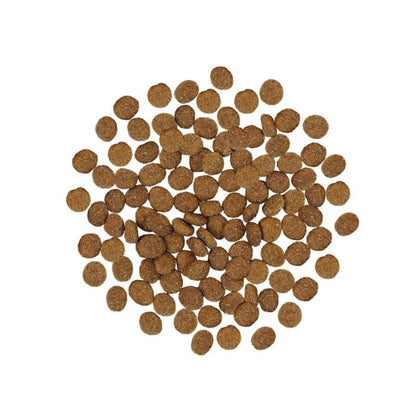 Go! Dog Skin & Coat Care Turkey With Grain 3.5Lb - Pets Perfect