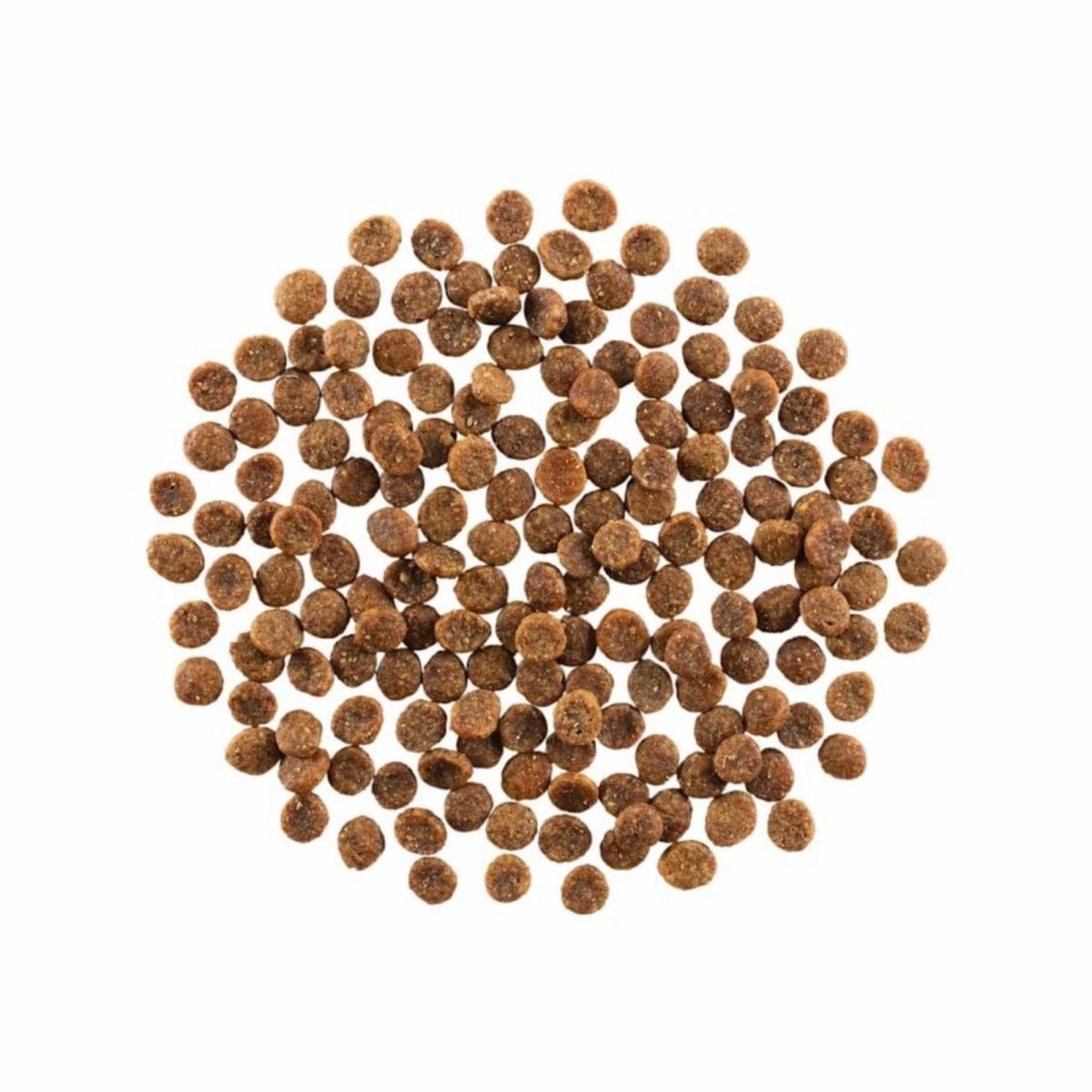 Go! Cat Skin & Coat Care Grain Free Salmon 3Lb - Pets Perfect