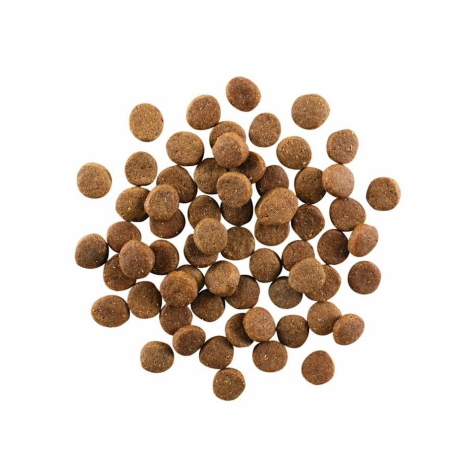 Go! Dog Carnivore Grain Free Puppy Chicken, Turkey & Duck 22Lb