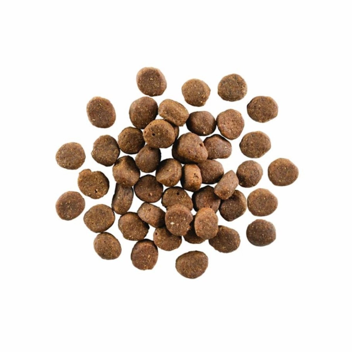 Go! Dog Carnivore Grain Free Senior Lamb & Wild Boar 22Lb - Pets Perfect