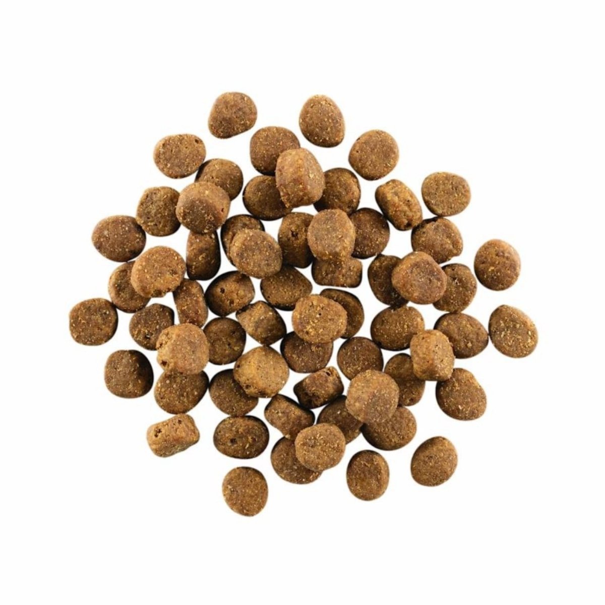Go! Dog Carnivore Grain Free Salmon & Cod 3.5Lb - Pets Perfect