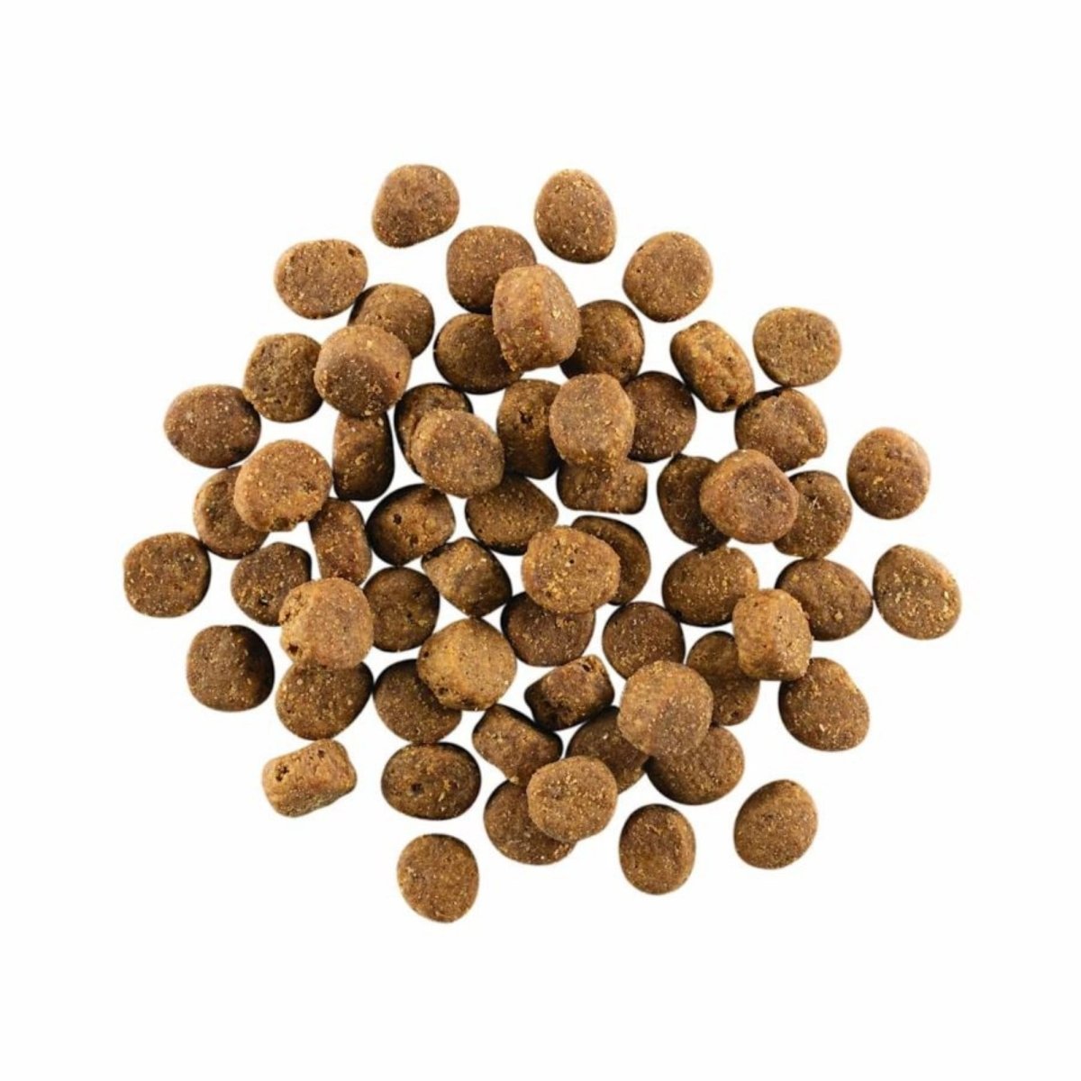Go! Dog Carnivore Grain Free Salmon & Cod 22Lb - Pets Perfect