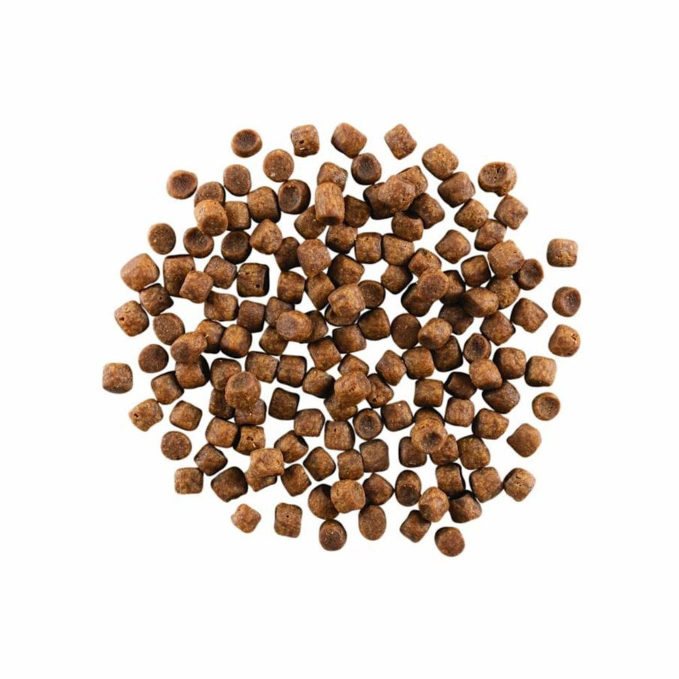 Go! Cat Carnivore Grain Free Chicken, Turkey & Duck 3Lb