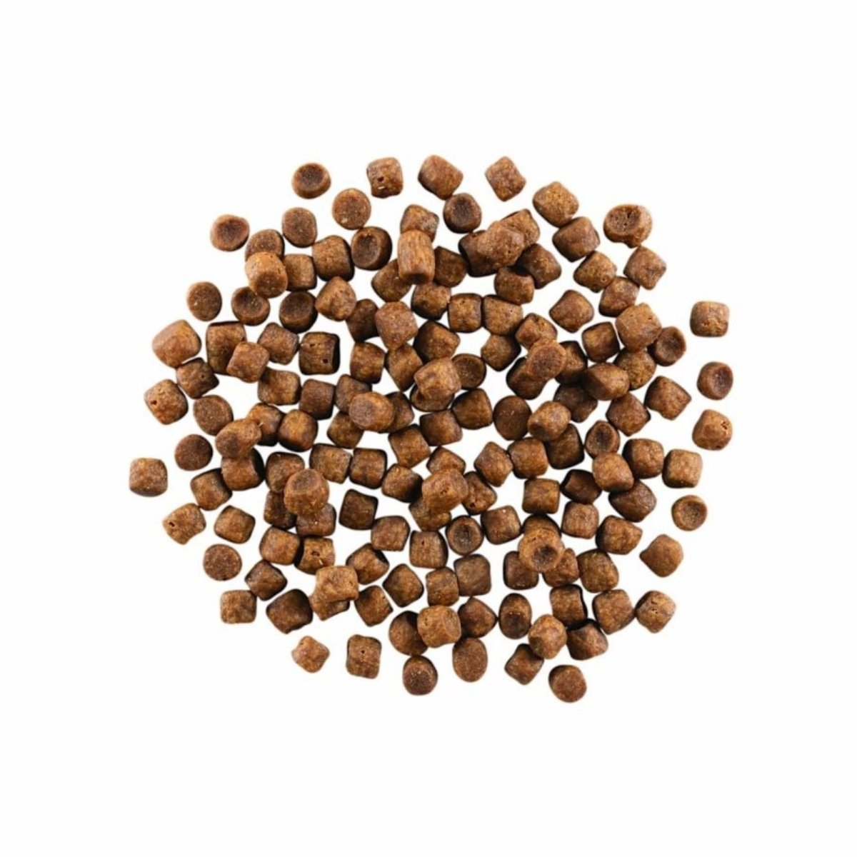Go! Cat Carnivore Grain Free Chicken, Turkey & Duck 8Lb - Pets Perfect