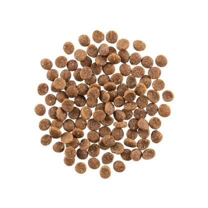 Go! Cat Carnivore Grain Free Salmon & Cod 3Lb - Pets Perfect