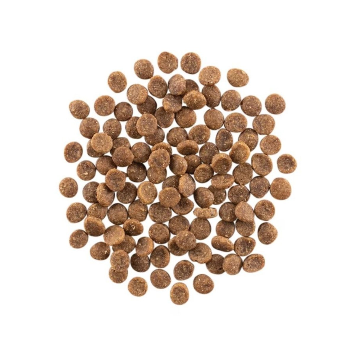 Go! Cat Carnivore Grain Free Salmon & Cod 8Lb - Pets Perfect