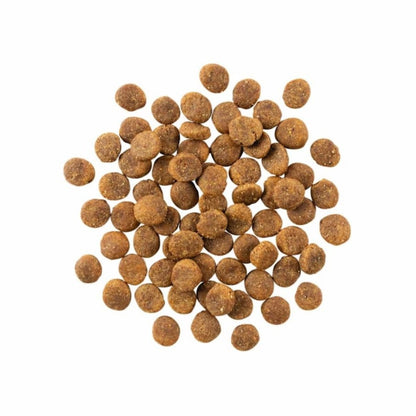 Go! Dog Sensitivities Limited Ingredient Grain Free Duck 22Lb - Pets Perfect