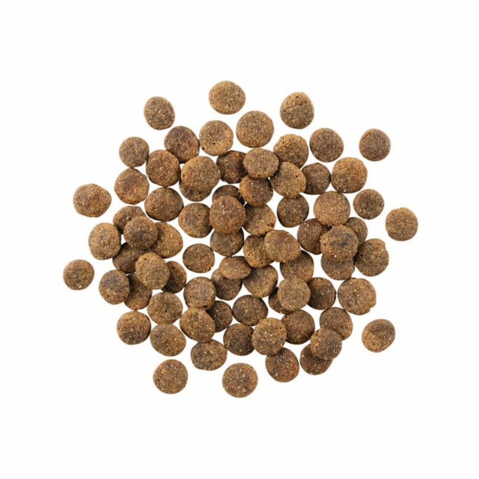 Go! Dog Sensitivities Limited Ingredient Grain Free Lamb 3.5Lb