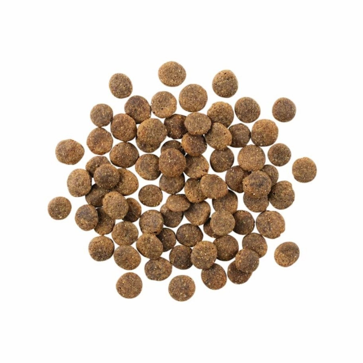 Go! Dog Sensitivities Limited Ingredient Grain Free Lamb 12Lb - Pets Perfect
