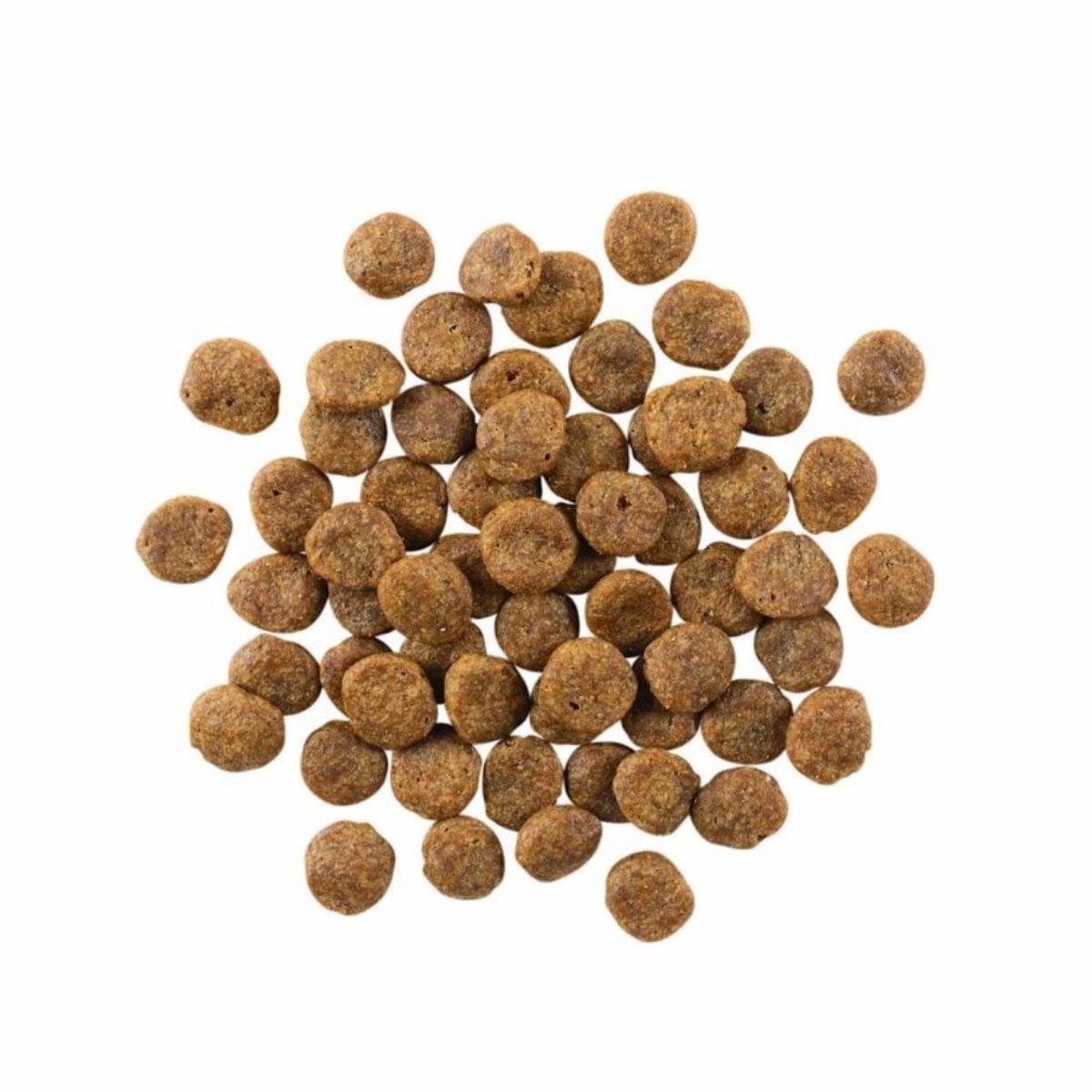 Go! Dog Sensitivities Limited Ingredient Grain Free Salmon 12Lb - Pets Perfect