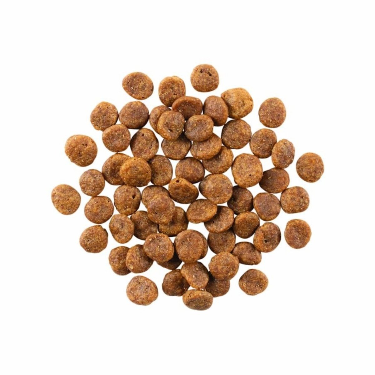 Go! Dog Sensitivities Limited Ingredient Grain Free Turkey 22Lb - Pets Perfect