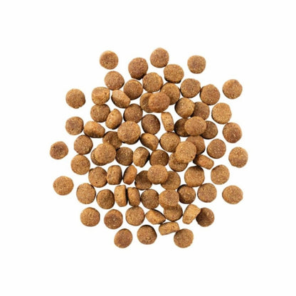 Go! Dog Skin & Coat Care Duck With Grain 3.5Lb - Pets Perfect