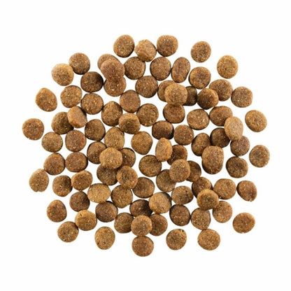 Go! Dog Skin & Coat Care Chicken With Grain 22Lb - Pets Perfect