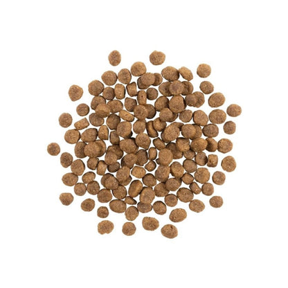 Go! Dog Sensitivities Limited Ingredient Grain Free Small Bites Salmon 3.5Lb - Pets Perfect