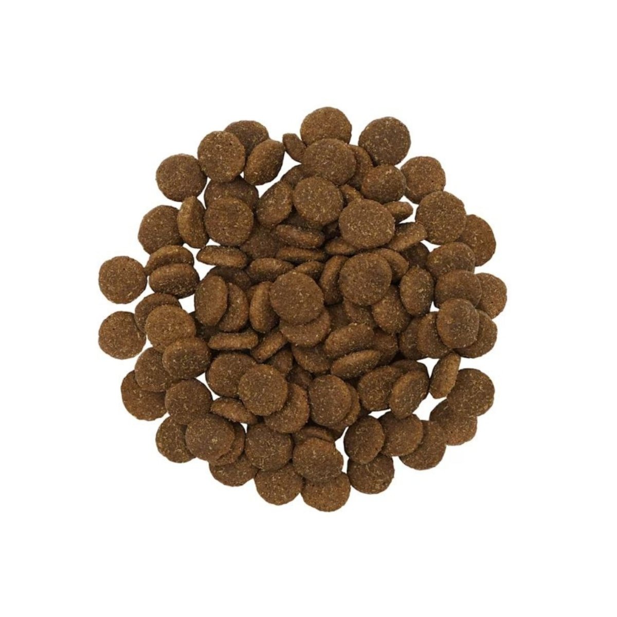 Go! Dog Skin + Coat Care Large Breed Adult Salmon 12Lb - Pets Perfect