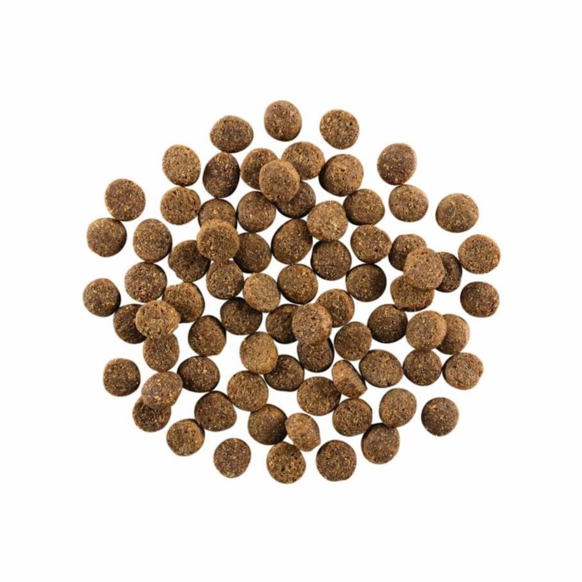 Go! Dog Skin & Coat Care Salmon With Grain 22Lb - Pets Perfect