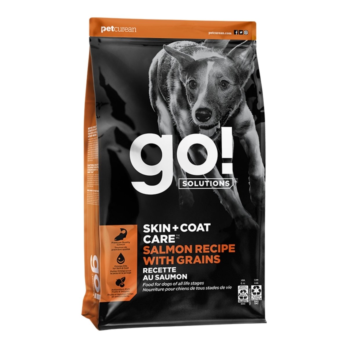 Go! Dog Skin & Coat Care Salmon With Grain 22Lb - Pets Perfect