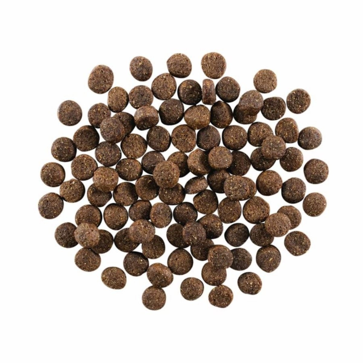 Go! Dog Skin & Coat Care Lamb With Grain 22Lb - Pets Perfect