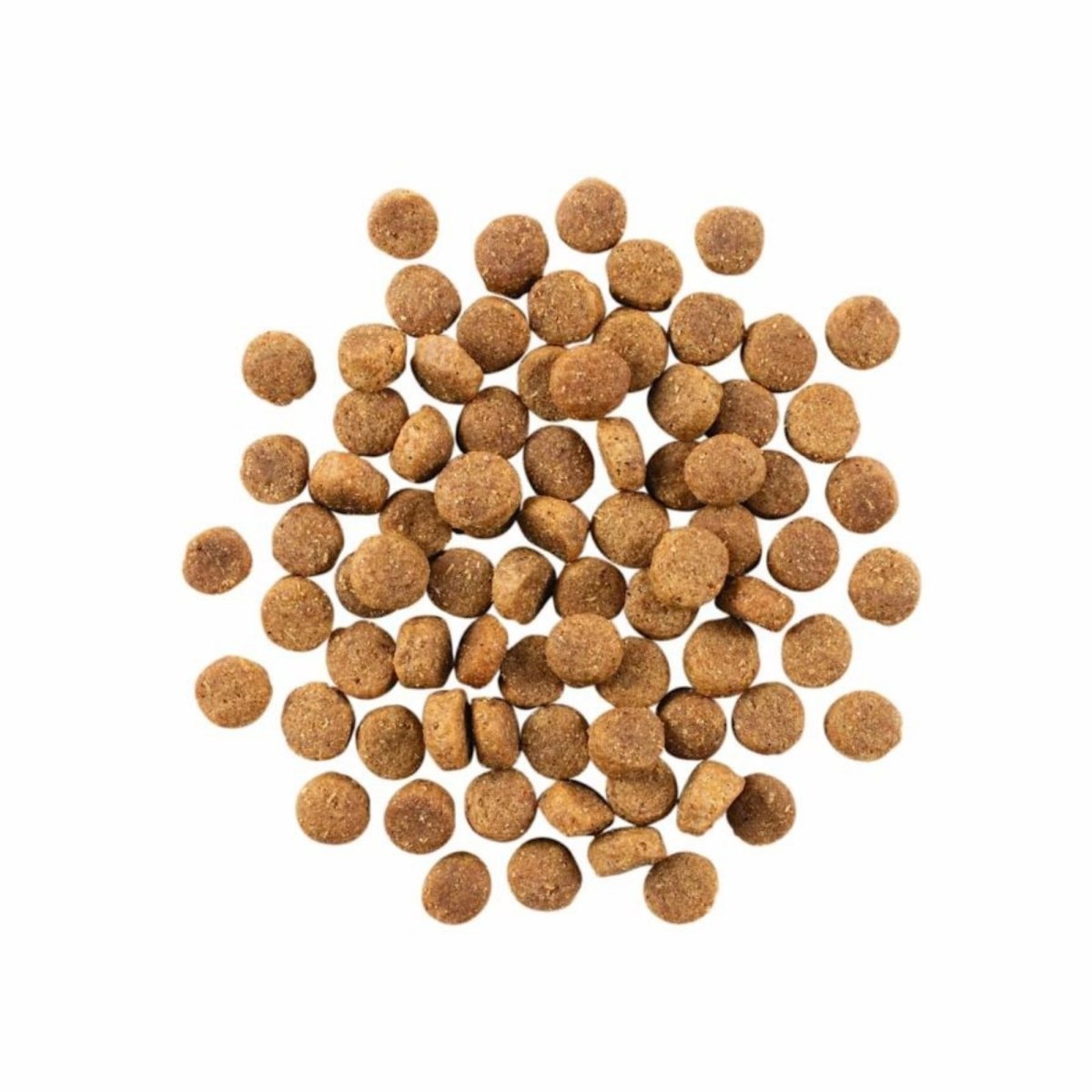 Go! Dog Skin & Coat Care Duck With Grain 22Lb - Pets Perfect