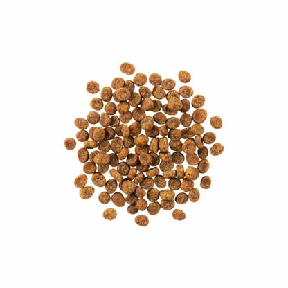 Go! Cat Sensitivities Limited Ingredient Grain Free Salmon 6Lb - Pets Perfect