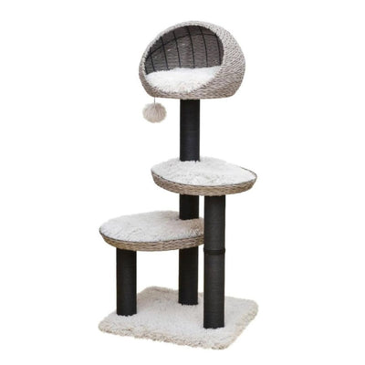 PetPals Tundra 3-Level Cat Tree
Ivory 50 in