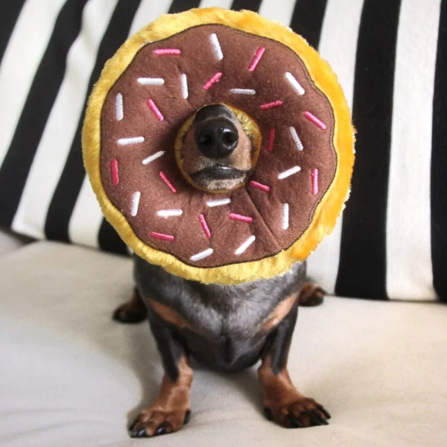 ZippyPaws Donutz Dog Toy Chocolate, Medium, view 2