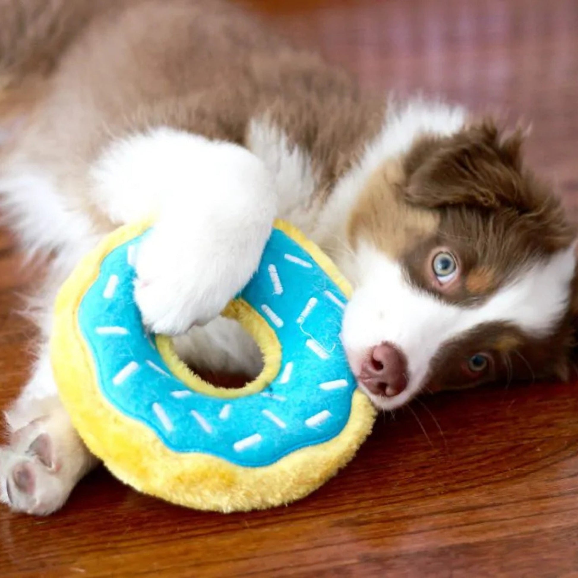 ZippyPaws Donutz Dog Toy Blueberry, Medium, view 2
