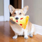 ZippyPaws NomNomz Dog Toy Pizza, Medium, view 2