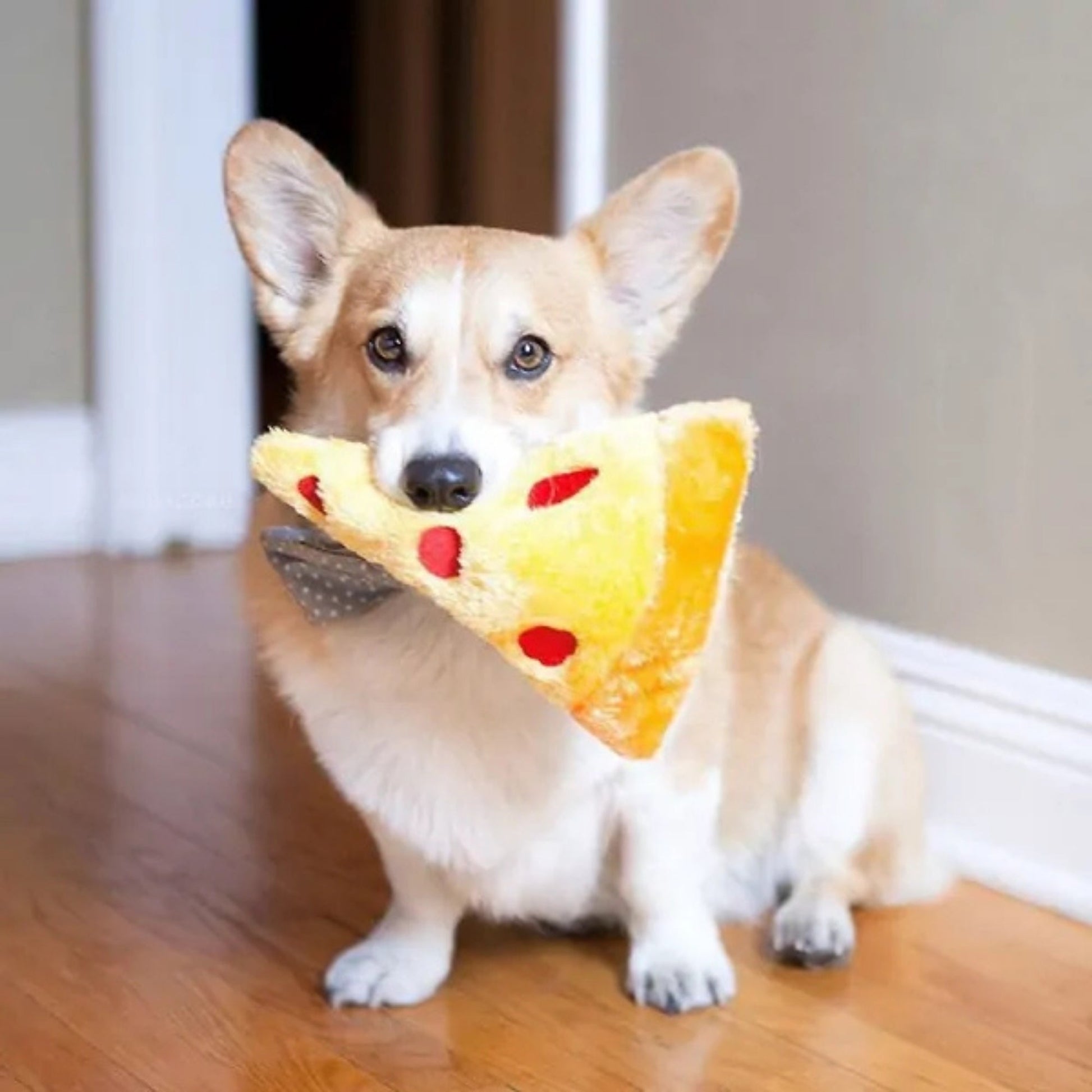 ZippyPaws NomNomz Dog Toy Pizza, Medium, view 2