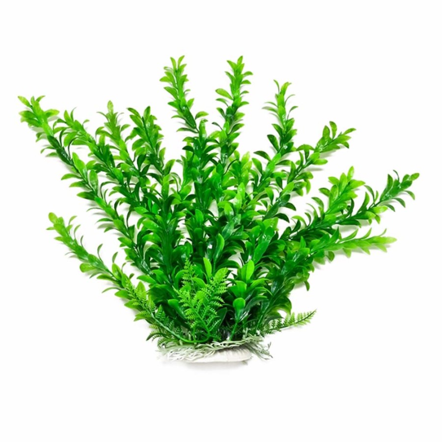 AquaTop Anacharis Aquarium Plant with Weighted Base Green, 6 in